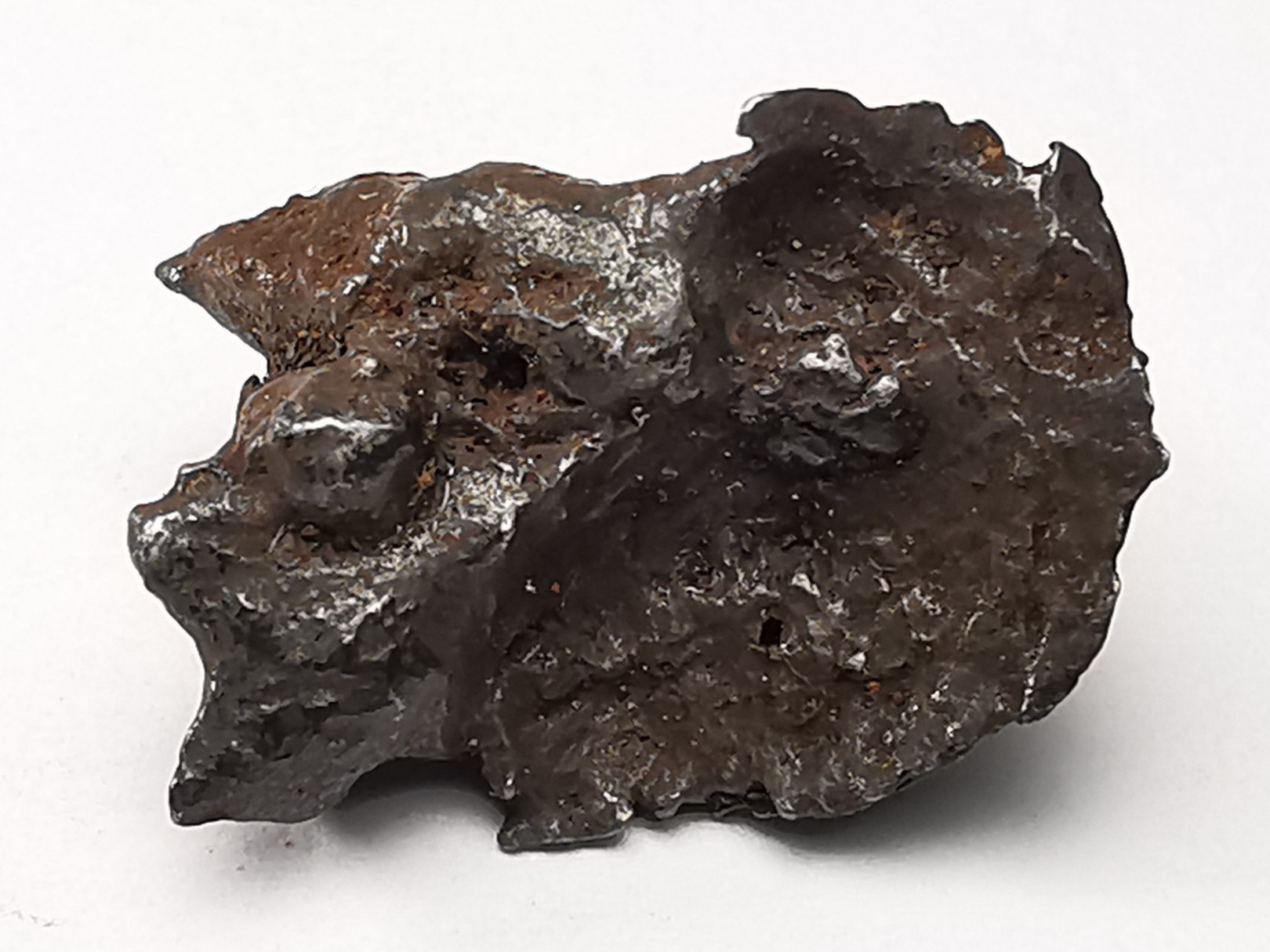 Météorite: SIDERITE IIAB - SIKHOTE ALIN - Russie