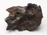 METEORITE: SIDERITE IIAB - SIKHOTE ALIN - Russie