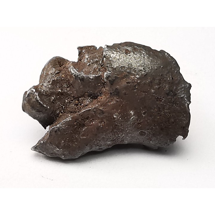 Météorite: SIDERITE IIAB - SIKHOTE ALIN - Russie