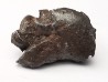 METEORITE: SIDERITE IIAB - SIKHOTE ALIN - Russie