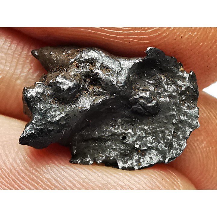 METEORITE: SIDERITE IIAB - SIKHOTE ALIN - Russie