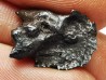 METEORITE: SIDERITE IIAB - SIKHOTE ALIN - Russie