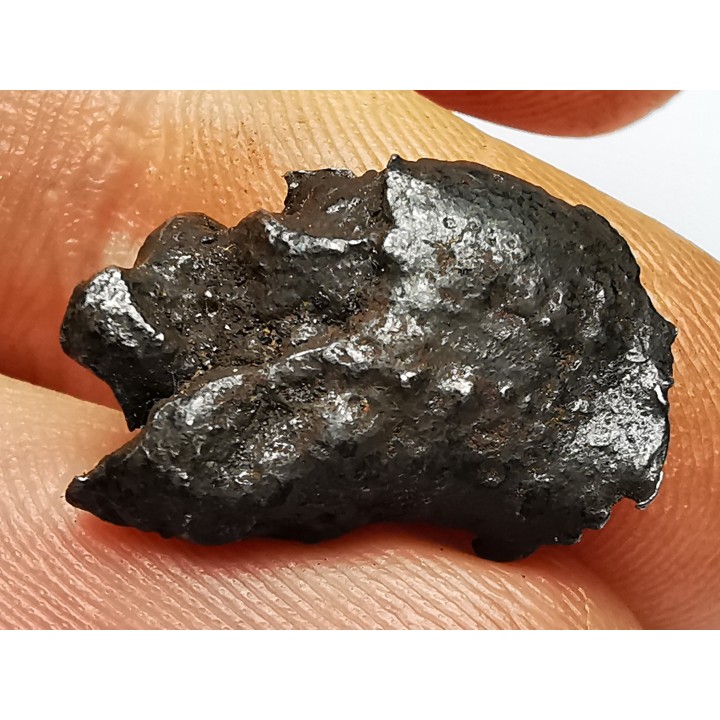 Météorite: SIDERITE IIAB - SIKHOTE ALIN - Russie