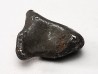 Météorite: SIDERITE IIAB - SIKHOTE ALIN - Russie