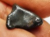 Météorite: SIDERITE IIAB - SIKHOTE ALIN - Russie