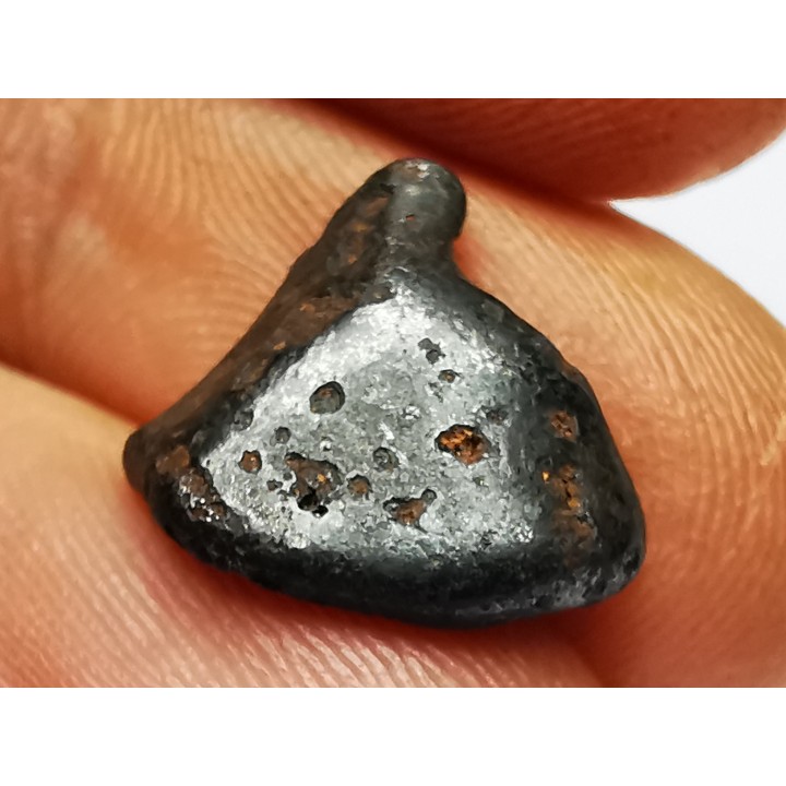 METEORITE: SIDERITE IIAB - SIKHOTE ALIN - Russie