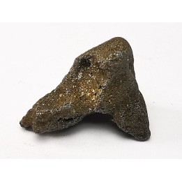 Météorite: SIDERITE IIAB - SIKHOTE ALIN - Russie