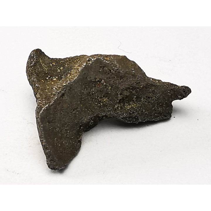 Météorite: SIDERITE IIAB - SIKHOTE ALIN - Russie