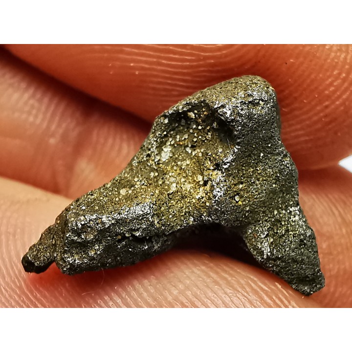 Météorite: SIDERITE IIAB - SIKHOTE ALIN - Russie