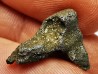 Météorite: SIDERITE IIAB - SIKHOTE ALIN - Russie
