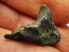 Météorite: SIDERITE IIAB - SIKHOTE ALIN - Russie