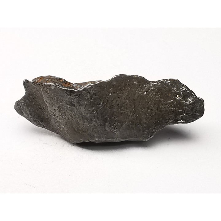 Météorite: SIDERITE IIAB - SIKHOTE ALIN - Russie