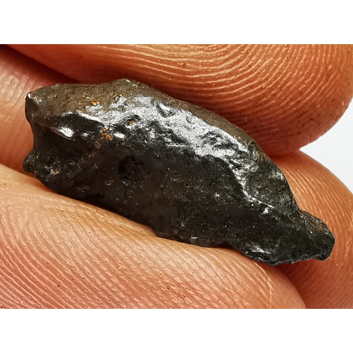 Météorite: SIDERITE IIAB - SIKHOTE ALIN - Russie