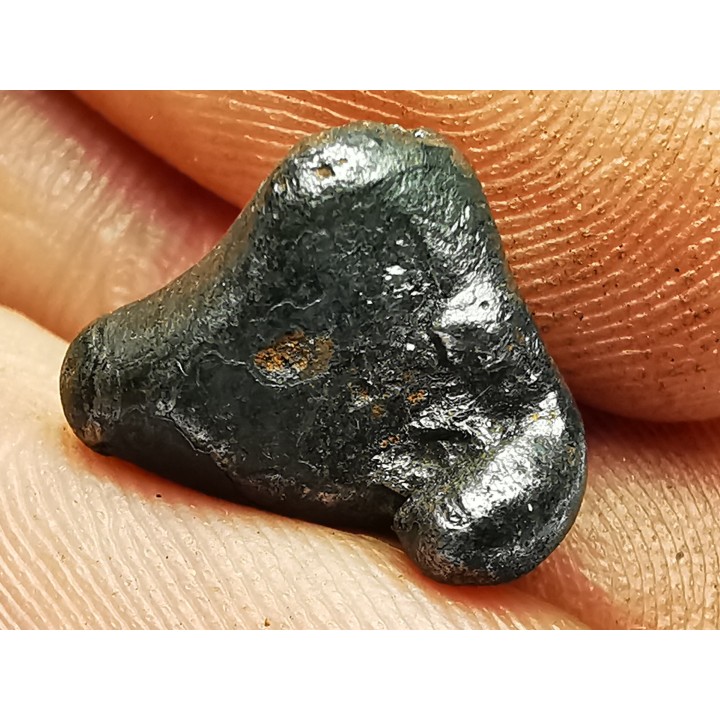 Météorite: SIDERITE IIAB - SIKHOTE ALIN - Russie