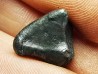 Météorite: SIDERITE IIAB - SIKHOTE ALIN - Russie