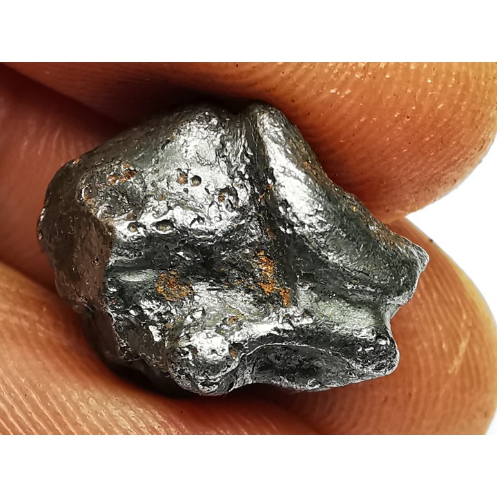 METEORITE: SIDERITE IIAB - SIKHOTE ALIN - Russie