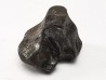 Météorite: SIDERITE IIAB - SIKHOTE ALIN - Russie