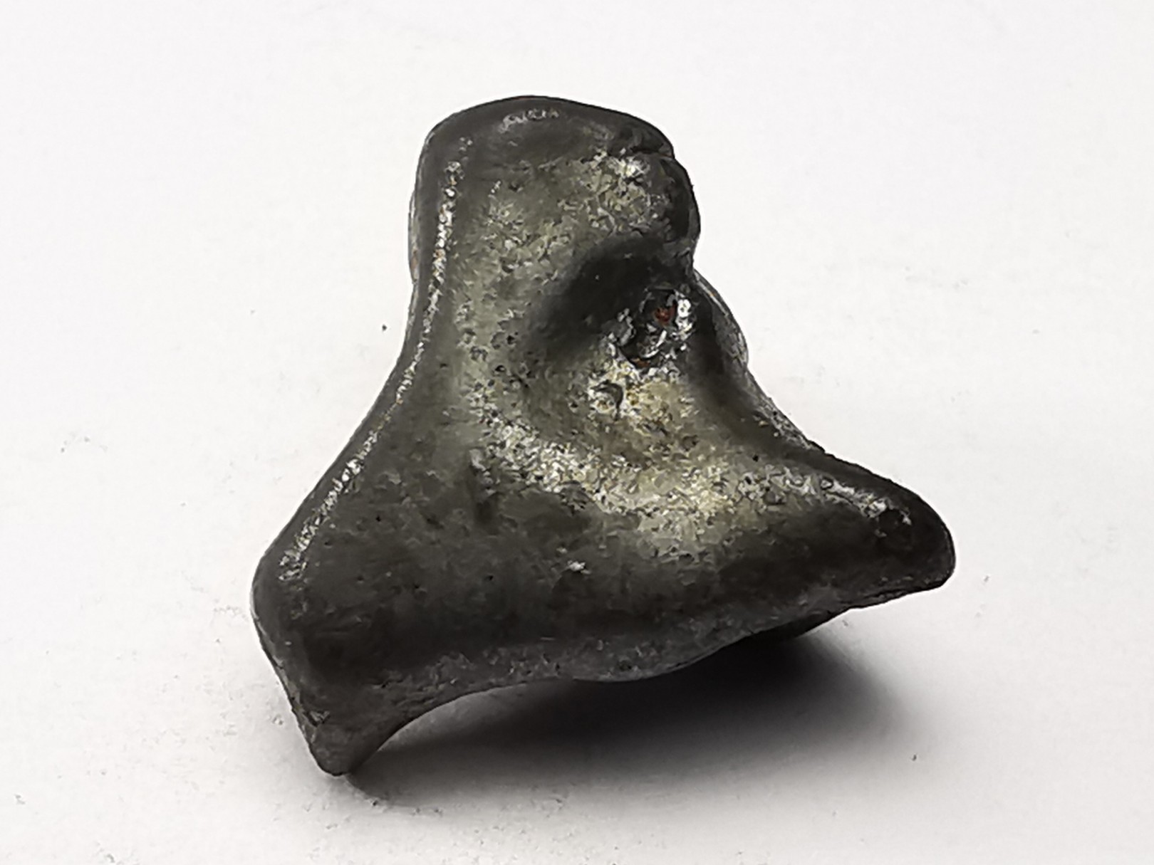 METEORITE: SIDERITE IIAB - SIKHOTE ALIN - Russie