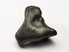 METEORITE: SIDERITE IIAB - SIKHOTE ALIN - Russie