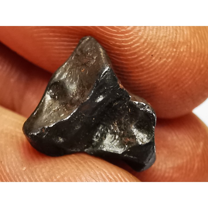 METEORITE: SIDERITE IIAB - SIKHOTE ALIN - Russie