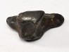 Météorite: SIDERITE IIAB - SIKHOTE ALIN - Russie