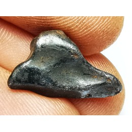 METEORITE: SIDERITE IIAB - SIKHOTE ALIN - Russie