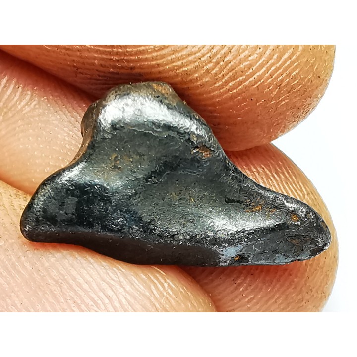 Météorite: SIDERITE IIAB - SIKHOTE ALIN - Russie