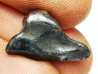 METEORITE: SIDERITE IIAB - SIKHOTE ALIN - Russie