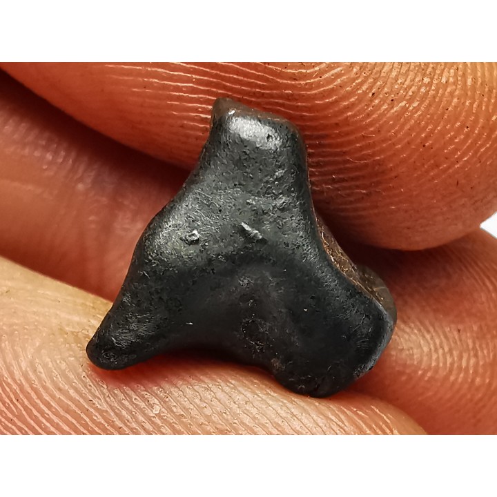 Météorite: SIDERITE IIAB - SIKHOTE ALIN - Russie