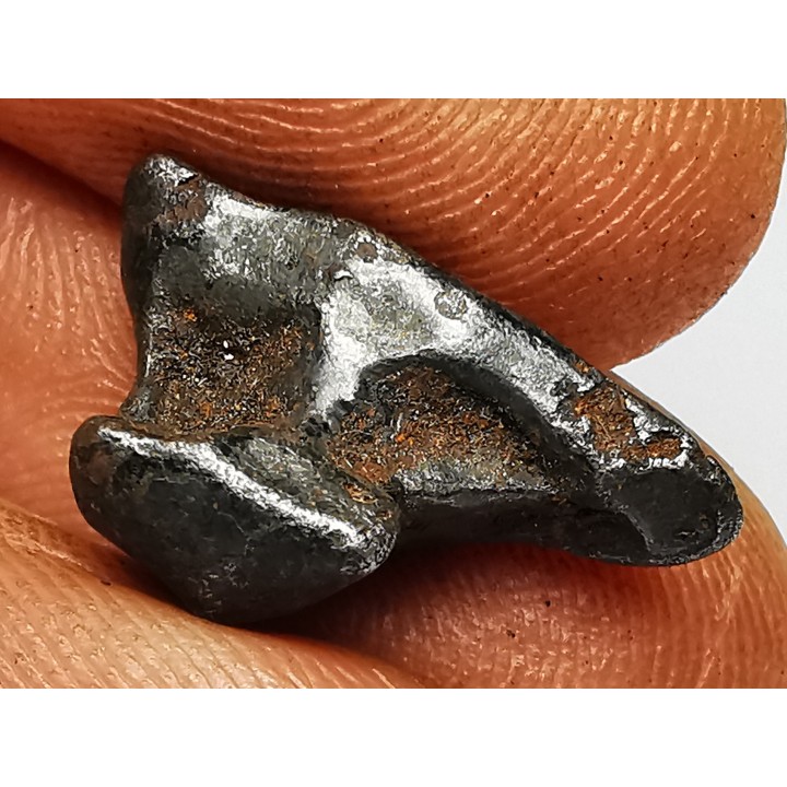 METEORITE: SIDERITE IIAB - SIKHOTE ALIN - Russie