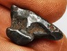 Météorite: SIDERITE IIAB - SIKHOTE ALIN - Russie