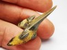 dent de requin Cretodus crassidens - Cénomanien (Texas)