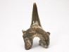 dent de requin Cretodus crassidens - Cénomanien (Texas)