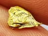 Gold nugget - Brittany, France