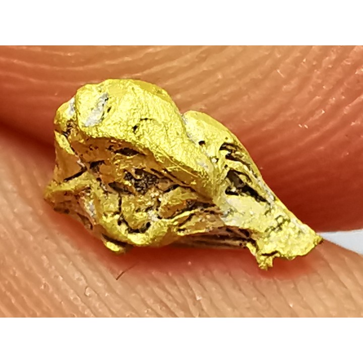 Pépite d'or - Bretagne, France