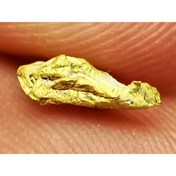 Pépite d'or - Bretagne, France
