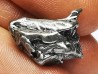 METEORITE Octaédrite IAB : Campo del Cielo, ARGENTINE