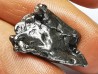 METEORITE Octahedrite IAB : Campo del Cielo, ARGENTINA