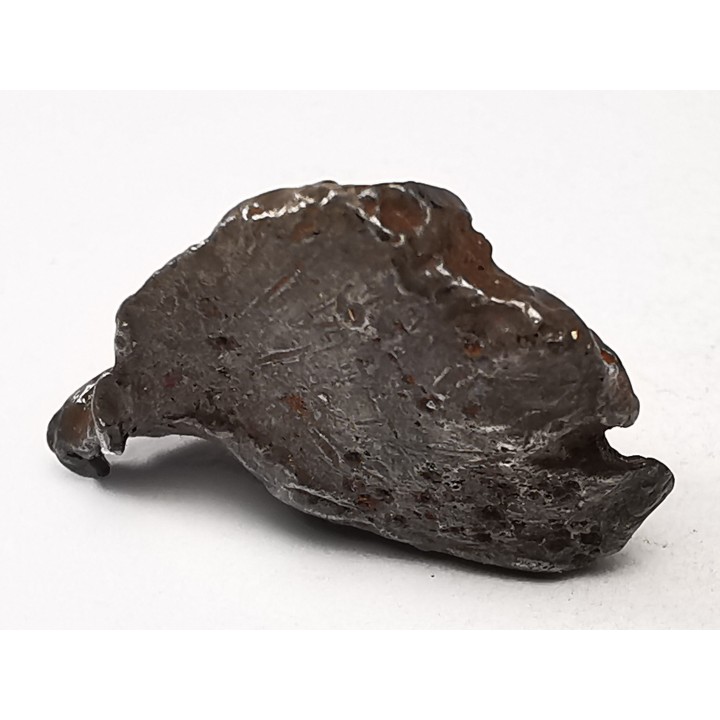 Météorite : SIDERITE IIAB de SIKHOTE ALIN, Russie