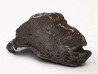 METEORITE: SIDERITE IIAB from SIKHOTE ALIN, Russia
