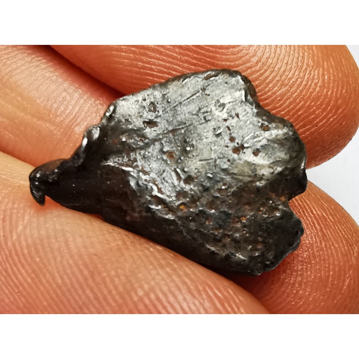 METEORITE: SIDERITE IIAB from SIKHOTE ALIN, Russia