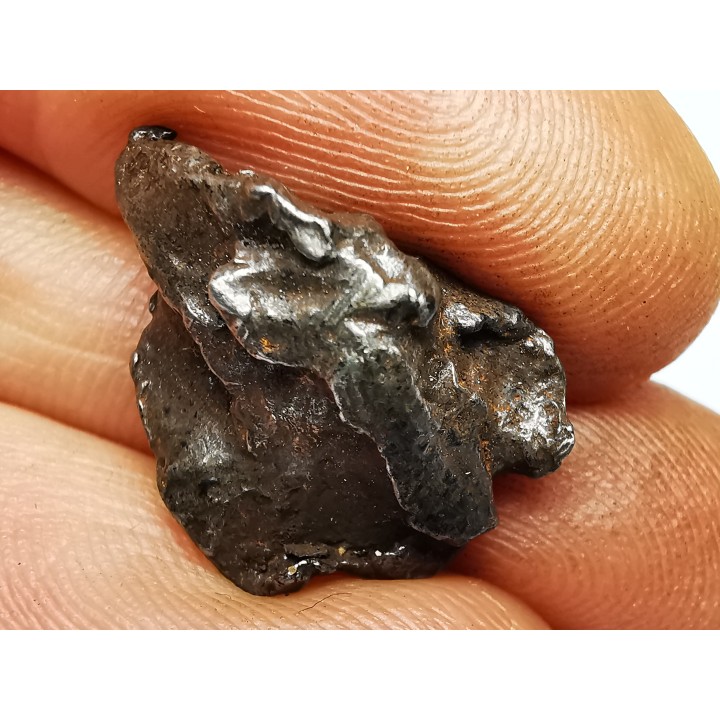 Météorite : SIDERITE IIAB de SIKHOTE ALIN, Russie
