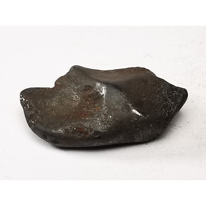 METEORITE: SIDERITE IIAB from SIKHOTE ALIN, Russia