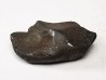 METEORITE: SIDERITE IIAB from SIKHOTE ALIN, Russia