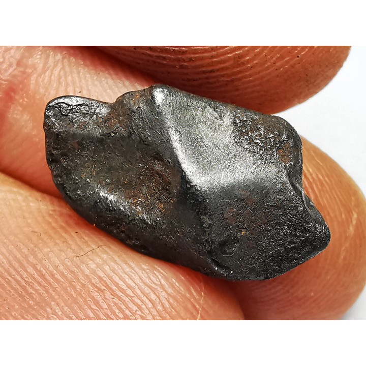 Météorite : SIDERITE IIAB de SIKHOTE ALIN, Russie