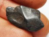 Météorite : SIDERITE IIAB de SIKHOTE ALIN, Russie