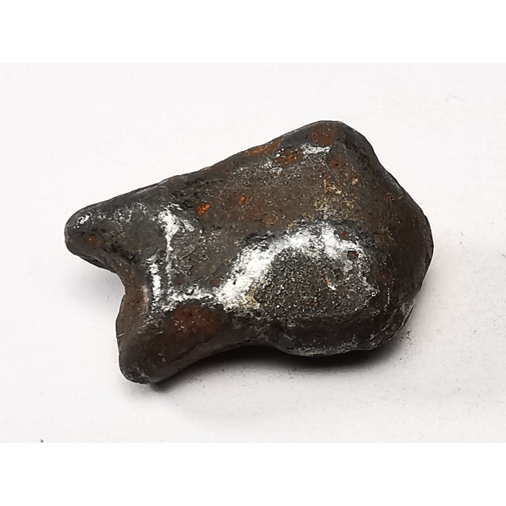 METEORITE: SIDERITE IIAB from SIKHOTE ALIN, Russia