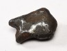 METEORITE: SIDERITE IIAB from SIKHOTE ALIN, Russia