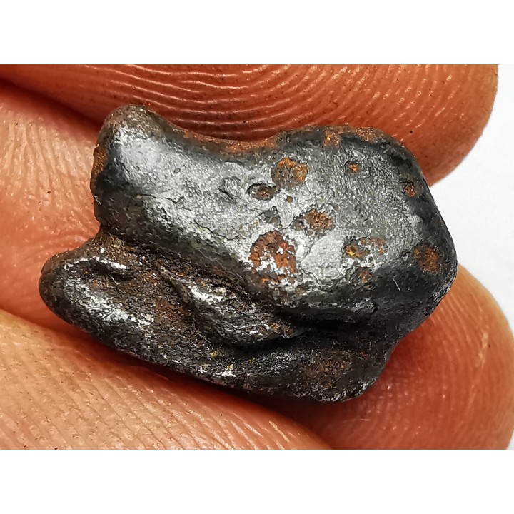 Météorite : SIDERITE IIAB de SIKHOTE ALIN, Russie