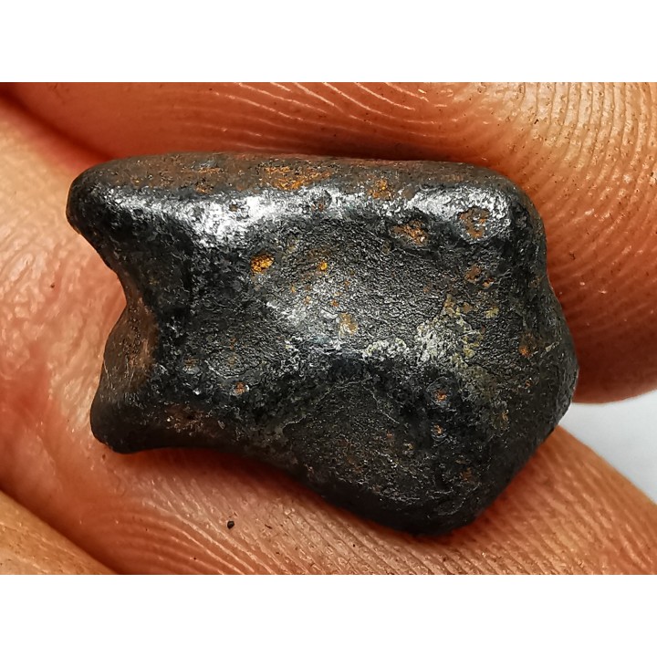 METEORITE: SIDERITE IIAB from SIKHOTE ALIN, Russia